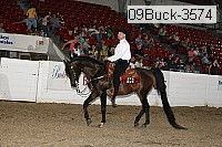 09buck-3574 thumbnail