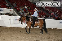 09buck-3576 thumbnail