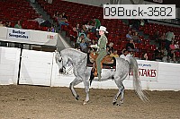 09buck-3582 thumbnail