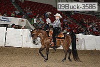 09buck-3586 thumbnail