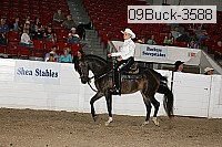 09buck-3588 thumbnail