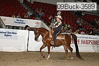 09buck-3589 thumbnail