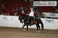 09buck-3591 thumbnail