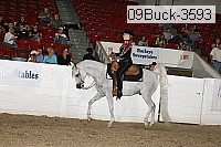 09buck-3593 thumbnail