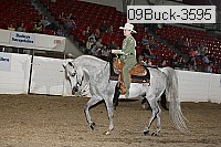 09buck-3595 thumbnail