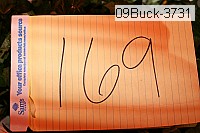 09buck-3731 thumbnail