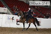 09buck-3741 thumbnail