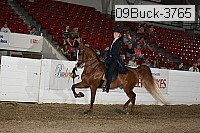09buck-3765 thumbnail