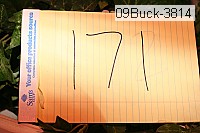 09buck-3814 thumbnail