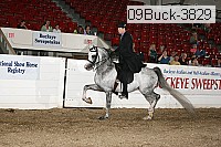 09buck-3829 thumbnail