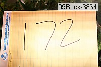 09buck-3864 thumbnail