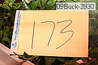 09buck-3930 thumbnail