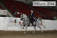 09buck-3944 thumbnail