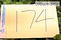 09buck-3959 thumbnail