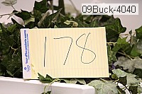 09buck-4040 thumbnail