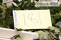 09buck-4055 thumbnail
