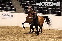 09buck-4074 thumbnail