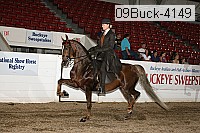 09buck-4149 thumbnail