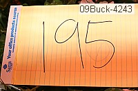 09buck-4243 thumbnail