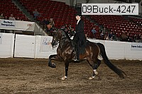 09buck-4247 thumbnail