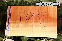 09buck-4332 thumbnail