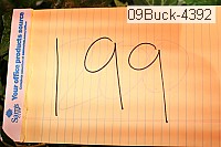 09buck-4392 thumbnail