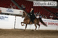 09buck-4422 thumbnail