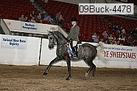 09buck-4478 thumbnail