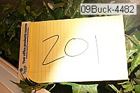 09buck-4482 thumbnail