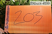 09buck-4599 thumbnail