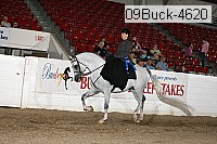 09buck-4620 thumbnail