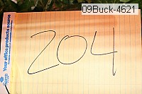 09buck-4621 thumbnail