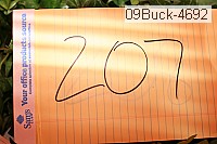 09buck-4692 thumbnail