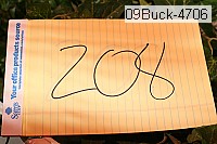 09buck-4706 thumbnail