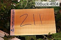 09buck-4804 thumbnail