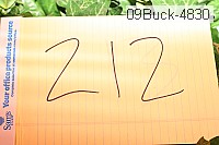 09buck-4830 thumbnail