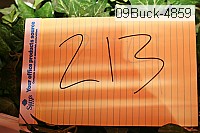 09buck-4859 thumbnail