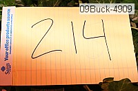 09buck-4909 thumbnail