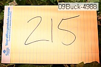 09buck-4988 thumbnail