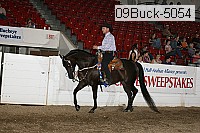 09buck-5054 thumbnail