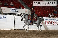 09buck-5057 thumbnail