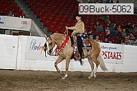 09buck-5062 thumbnail