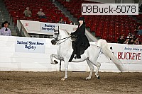 09buck-5078 thumbnail