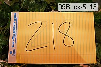 09buck-5113 thumbnail