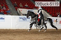 09buck-5119 thumbnail