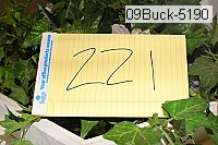 09buck-5190 thumbnail