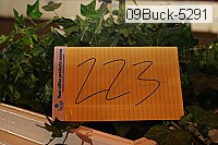 09buck-5291 thumbnail