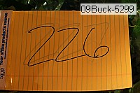 09buck-5299 thumbnail