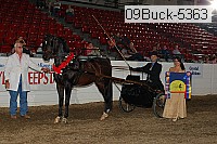 09buck-5363 thumbnail