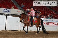 09buck-5490 thumbnail